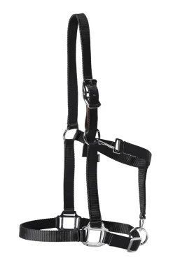 TEXT HORSE Halters|Suffolk™ Nylon Breakaway Halter