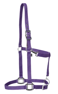 TEXT HORSE Halters|Suffolk™ Nylon Breakaway Halter