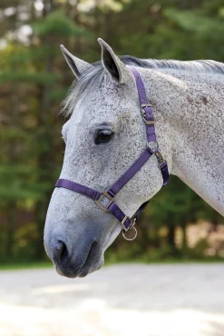TEXT HORSE Halters|Suffolk™ Nylon Breakaway Halter