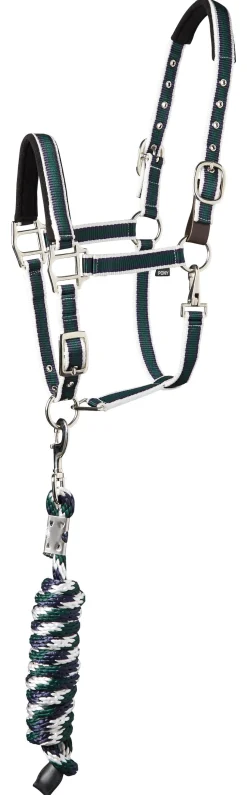 TEXT HORSE Halters|Suffolk™ Padded Striped Breakaway Halter & Lead