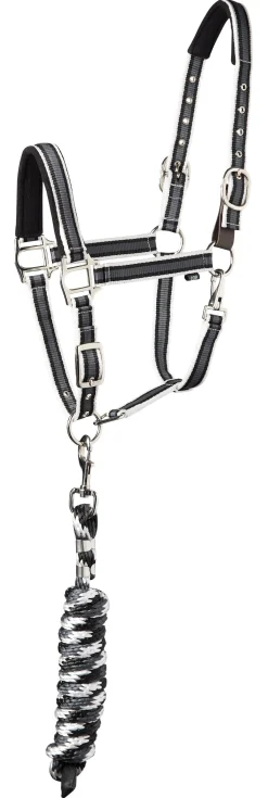 TEXT HORSE Halters|Suffolk™ Padded Striped Breakaway Halter & Lead