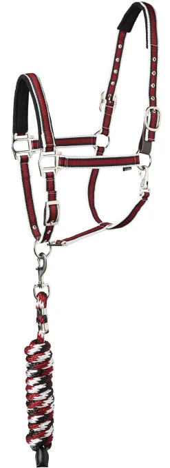 TEXT HORSE Halters|Suffolk™ Padded Striped Breakaway Halter & Lead