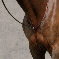 KINGS INTERNATIONAL Martingales & Breastplates|Suffolk™ Raised Standing Martingale