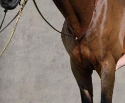 KINGS INTERNATIONAL Martingales & Breastplates|Suffolk™ Raised Standing Martingale