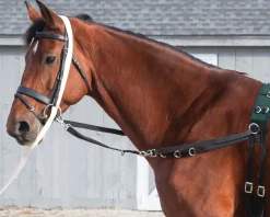 TEXT HORSE Lunging & Training Equipment|Suffolk™ Side Reins with Elastic