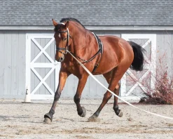 TEXT HORSE Lunging & Training Equipment|Suffolk™ Side Reins with Elastic