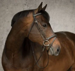 KINGS INTERNATIONAL English Bridles|Suffolk™ Single Crown Flash Bridle