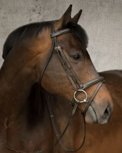 KINGS INTERNATIONAL English Bridles|Suffolk™ Single Crown Flash Bridle