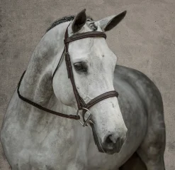 KINGS INTERNATIONAL English Bridles|Suffolk™ Single Crown Hunter Bridle