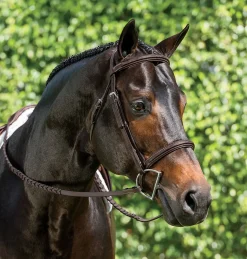 KINGS INTERNATIONAL English Bridles|Suffolk™ Single Crown Hunter Bridle