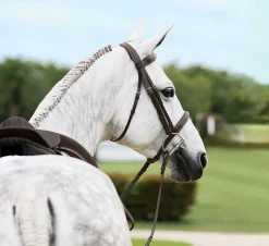KINGS INTERNATIONAL English Bridles|Suffolk™ Single Crown Hunter Bridle