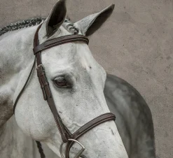 KINGS INTERNATIONAL English Bridles|Suffolk™ Single Crown Hunter Bridle