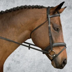 KINGS INTERNATIONAL English Bridles|Suffolk™ Single Crown Padded Dressage Bridle