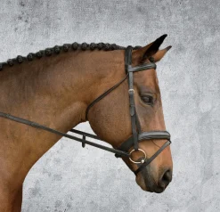 KINGS INTERNATIONAL English Bridles|Suffolk™ Single Crown Padded Dressage Bridle