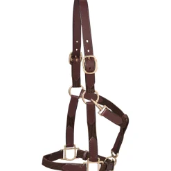 KINGS INTERNATIONAL Halters|Suffolk™ Web Halter