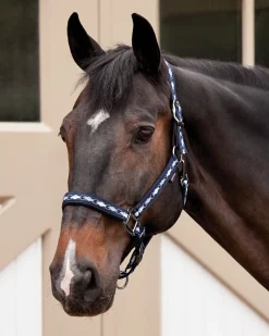 TEXT HORSE Halters|Suffolk™ Woven Argyle Breakaway Halter