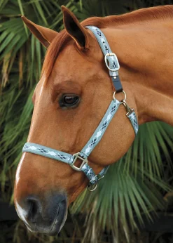 TEXT HORSE Halters|Suffolk™ Woven Argyle Breakaway Halter