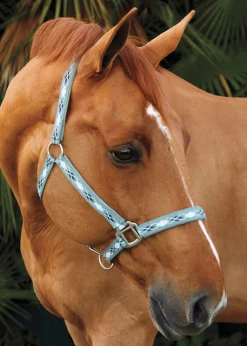 TEXT HORSE Halters|Suffolk™ Woven Argyle Breakaway Halter