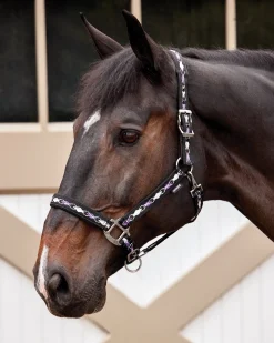 TEXT HORSE Halters|Suffolk™ Woven Argyle Breakaway Halter