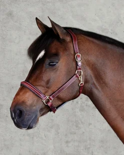 PUSHKAR INTL Halters|Suffolk™ Ergonomic Halter