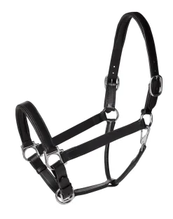 PUSHKAR INTL Halters|Suffolk™ Everyday Halter