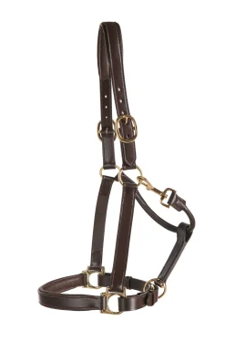 PUSHKAR INTL Halters|Suffolk™ Everyday Halter