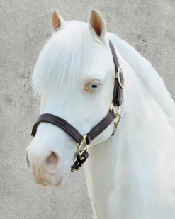 PUSHKAR INTL Halters|Suffolk™ Palermo Triple-Stitched Halter