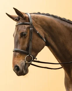KINGS INTERNATIONAL English Bridles|Suffolk™ Single Crown Classic Dressage Bridle