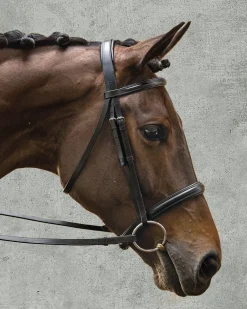 KINGS INTERNATIONAL English Bridles|Suffolk™ Single Crown Classic Dressage Bridle