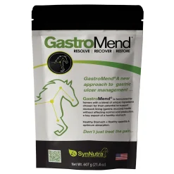SYNNUTRA EQUINE Horse Supplements|® GastroMend®
