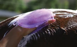 PROFESSIONALS CHOICE Bathing Tools|Brushes & Hoof Picks|Tail Tamers® Jelly Scrubber Mitt