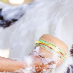 DREAMERS N SCHEMERS Bathing Tools|The Tack Hack Burger Body Sponge
