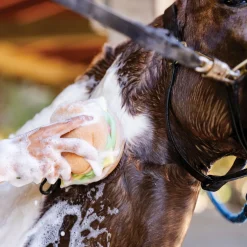 DREAMERS N SCHEMERS Bathing Tools|The Tack Hack Burger Body Sponge