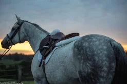 THINLINE Half Pads|® Sheepskin Comfort Half Pad