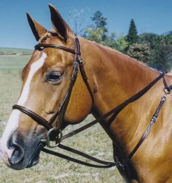 TORY LEATHER Lunging & Training Equipment|Company Breastplate Draw Reins
