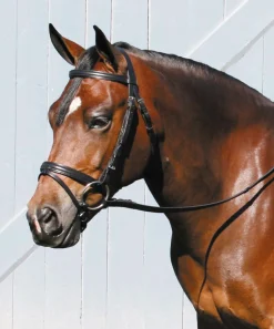 TORY LEATHER English Bridles|Company Deluxe Padded Dressage Bridle with Buckle Bit Ends