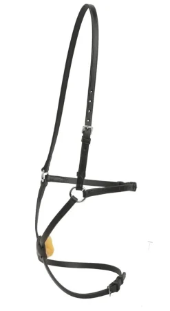 TORY LEATHER Bridle Parts & Accessories|Company Figure-8 Noseband with Stainless Steel Rings