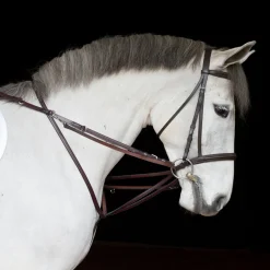 TORY LEATHER Lunging & Training Equipment|Company German Martingale Rein Set