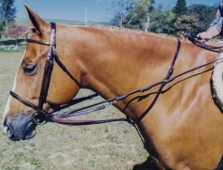 TORY LEATHER Martingales & Breastplates|Company German Martingale Rein Set