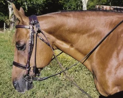 TORY LEATHER Lunging & Training Equipment|Company Horse Size Chambon