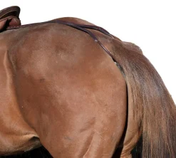 TORY LEATHER Saddle Accessories|Saddle Covers & Leather Care|Company Horse Crupper/Aluminum Plate