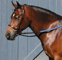 TORY LEATHER English Bridles|Company Padded English Bridle