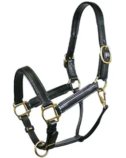 TORY LEATHER Halters|Company Padded Leather Halter
