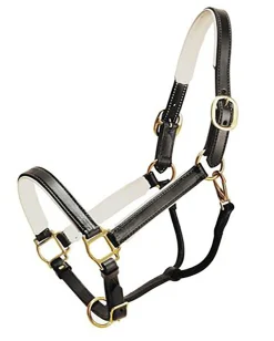 TORY LEATHER Halters|Company Padded Leather Halter
