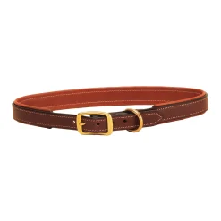 TORY LEATHER Collars & Leashes|Padded Dog Collar