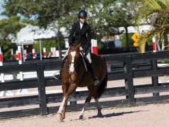 TREDSTEP-CLOTHING Show Jackets|Tredstep™ Solo Showtime Show Coat