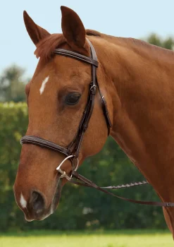 KINGS INTERNATIONAL Bridle Parts & Accessories|TRU-Fit™ Build-A-Bridle™ Fancy-Stitched Hunter Noseband