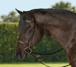 KINGS INTERNATIONAL Bridle Parts & Accessories|TRU-Fit™ Build-A-Bridle™ Fancy-Stitched Hunter Noseband
