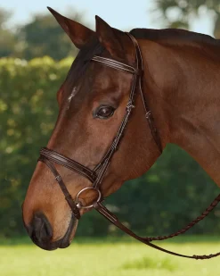 KINGS INTERNATIONAL Bridle Parts & Accessories|TRU-Fit™ Build-A-Bridle™ Flash Noseband