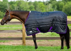 JPC EQUESTRIAN Stable Sheets|TuffRider® Kozy Komfort Stable Blanket